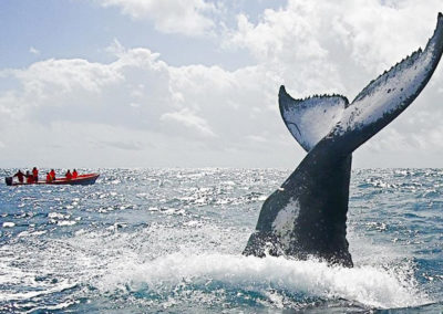 Plongée à Nosy Be